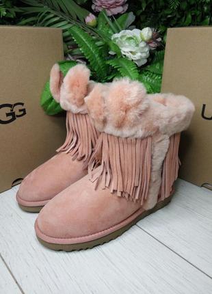 Ugg darlala classic beige. уггі з вушками оригінал натуральна шкіра.5 фото