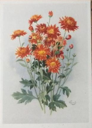 Открытка раритет  1964