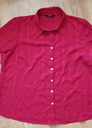 Красная легкая блуза рубашка, короткий рукав.4 фото
