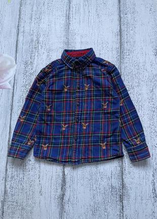 Крута сорочка в клітку новорічний светр олень george 1-1,5 року