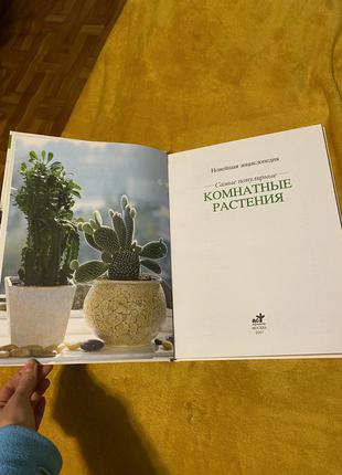 Энциклопедия самые популярные комнатные растения2 фото