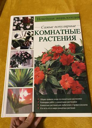 Енциклопедія найбільш популярні кімнатні рослини