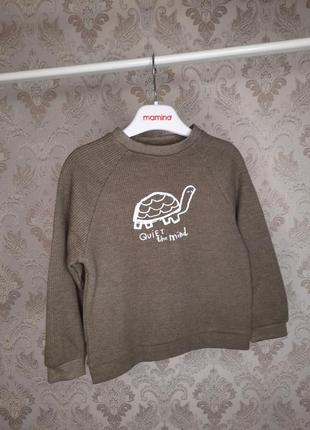 Свитшот,  худи, кофта, реглан, свитшот  zara. george,  hm, monna rosa milano