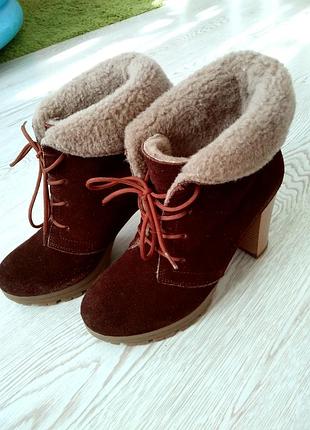 Чобітки зимові