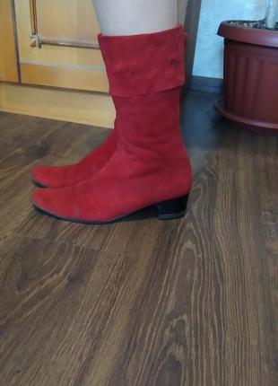 Чобітки замшеві medea. р. 38