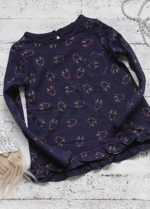 Кофта, реглан st. bernard 9-12 месяцев