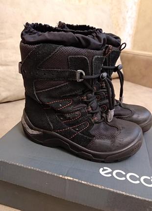 Сапоги ecco 2