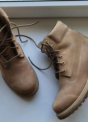 Черевики timberland