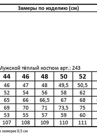 Спортивный мужской костюм на меху(в расцветках)рр 44-604 фото