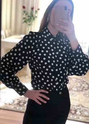 Блуза в горох 🖤primark размер xs/s2 фото