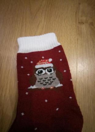 Шкарпетки махрові з совами бордові1 фото