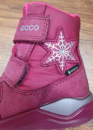 Ecco urban mini gore tex 23 зимние сапожки ботинки сапоги зимові зима ботінки экко екко ессо розові розовые рожеві 22 244 фото