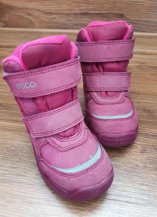 Ecco urban mini gore tex 23 зимние сапожки ботинки сапоги зимові зима ботінки экко екко ессо розові розовые рожеві 22 249 фото