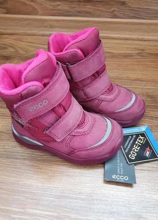 Ecco urban mini gore tex 23 зимние сапожки ботинки сапоги зимові зима ботінки экко екко ессо розові розовые рожеві 22 247 фото