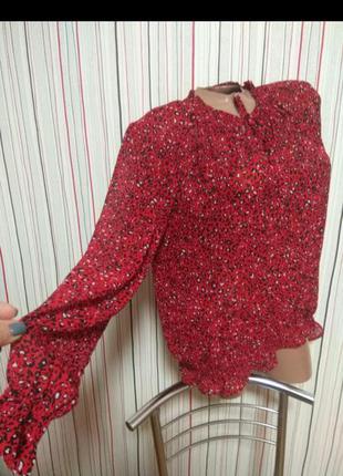 Красная лелпардовая блуза на резинке,блузка шифонновая леопардовая5 фото