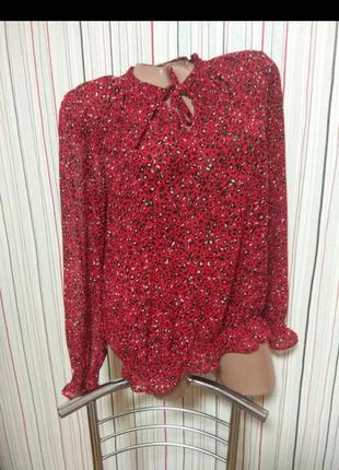 Красная лелпардовая блуза на резинке,блузка шифонновая леопардовая1 фото