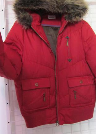 Куртка  tammy (тэмми) р.s