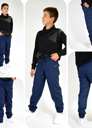Штани джогери утеплені демісезонні штани , софтшелл3 фото