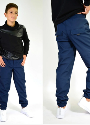 Штани джогери утеплені демісезонні штани , софтшелл1 фото