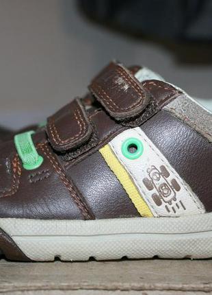 Кросівки дитячі (пінетки) clarks 'mini folk' lilfolk cub boy's first trainers