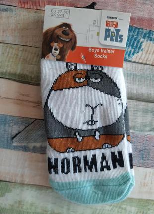 Носочки norman