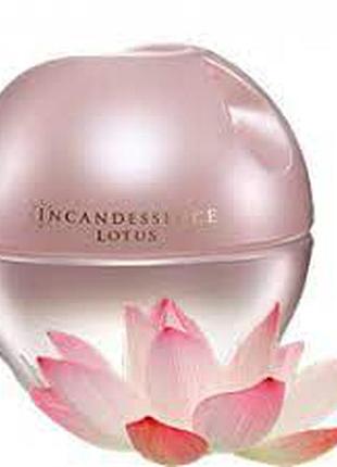 Incandessence lotus 50 мл