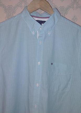 Чоловіча блакитна сорочка tommy hilfiger в смужку з коротким рукавом2 фото