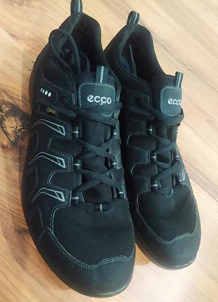 Кросівки ессо biom performance gore-tex