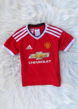 Спортивная футболка adidas manchester united