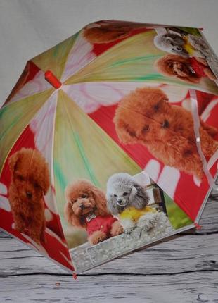 Обалденный зонтик зонт детский для вашей малышни и подростков щенки щеночки собачки матовая клеенка6 фото