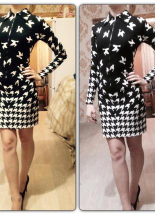 Платье ласточки италия на молнии спереди с воротничком