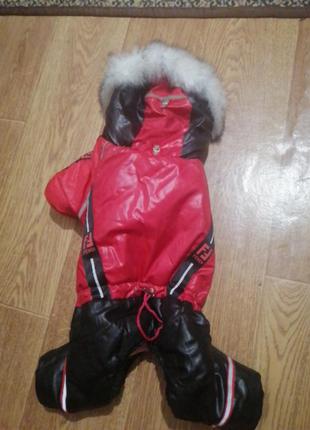 Fendi новая!!!!! красивая и практичная! купили по размеру не подошла