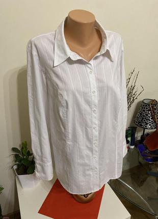 Базовая белая блуза рубашка bonita xl3 фото
