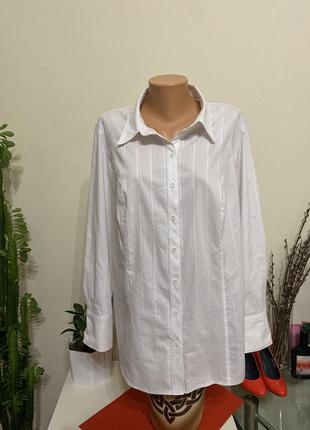 Базовая белая блуза рубашка bonita xl5 фото