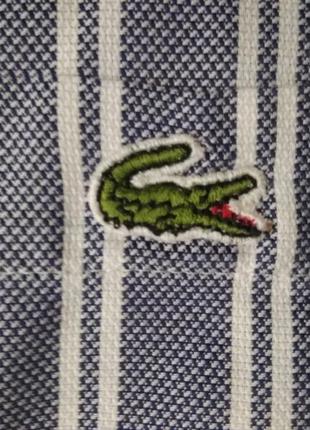 Рубашка lacoste chemise7 фото