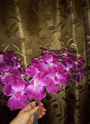 Орхидея1 фото