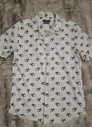 Рубашка шведка