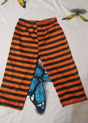 Полосатые штанишки на 1-2 года, хороши на костюм тигра для праздника