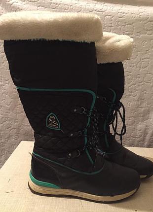 Чоботи жіночі