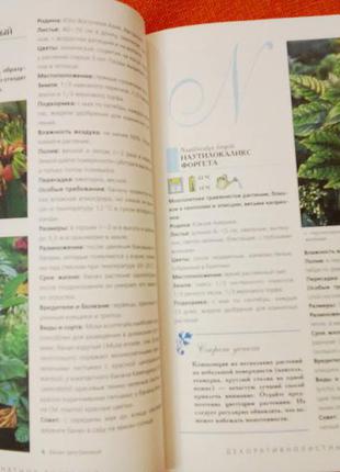 Велика енциклопедія кімнатних рослини, ілюстрована. якісні фотографії.6 фото