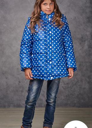 Тепла курточка колір електрик в білий горох