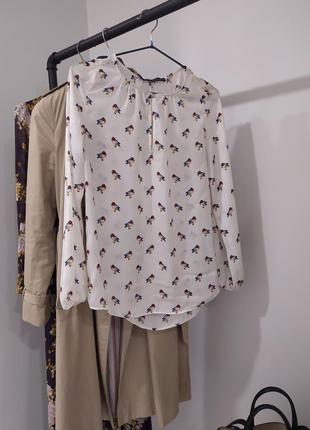 Красива молочна блузка з птахами zara