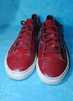 Pf-flyers кеды 45 размер 8