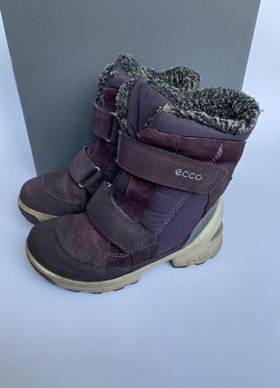 Ботинки зимние ecco goretex