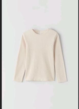 Реглан в рубчик, кофта ,зараз, zara 134