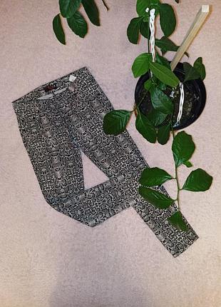 Штани в змеиний принт