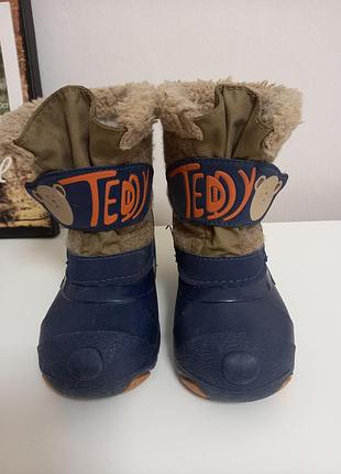 Чобітки teddy