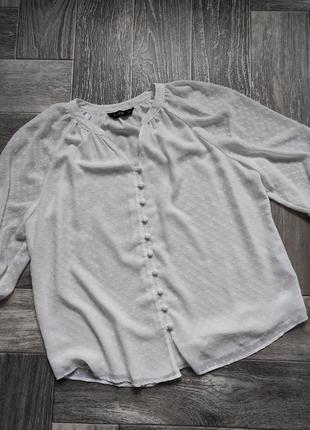 Блуза з вишивкою плюметі1 фото