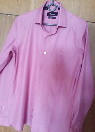 Мужская молодежная рубашка sigmen