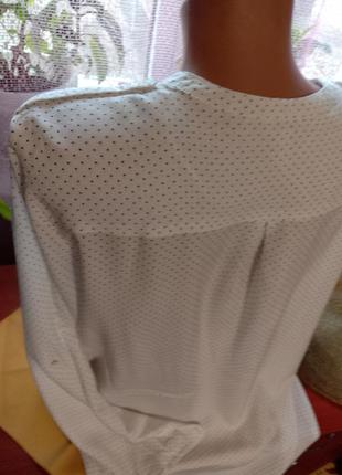 Esprit нежная блуза рубашка в горошек с подкатом рукава 46-48р6 фото
